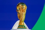 世界杯版权仍未官宣，颜强：FIFA要涨价，唯一版权谈判方不愿迁就